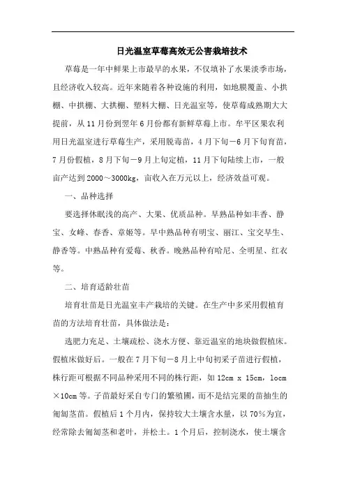日光温室草莓高效无公害栽培技术