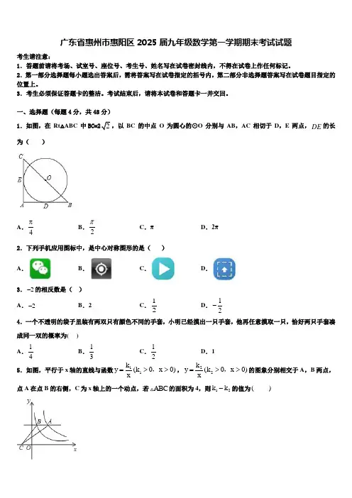 广东省惠州市惠阳区2025届九年级数学第一学期期末考试试题含解析