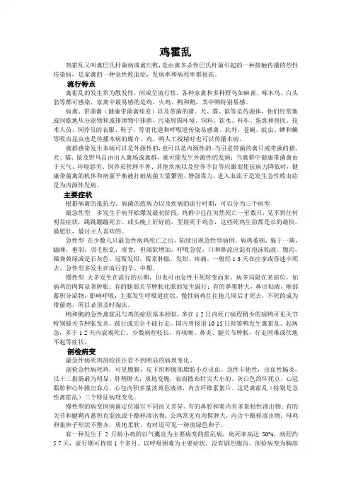 鸡霍乱