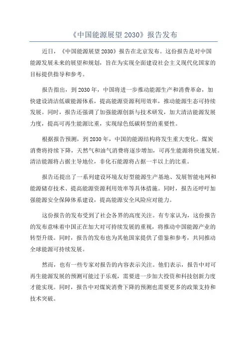 《中国能源展望2030》报告发布