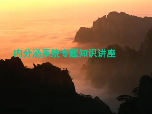 内分泌系统专题知识讲座