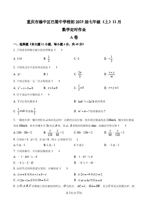 重庆市渝中区巴蜀中学校2022-2023学年七年级上学期11月月考数学(试题+解析)