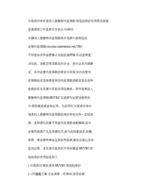 中医药对体外诱导人脐静脉内皮细胞损伤的保护作用研究进展_图文(精)