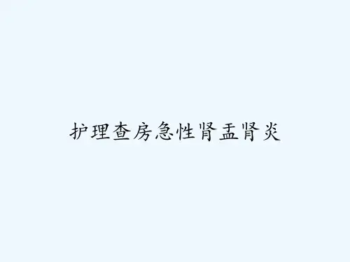护理查房急性肾盂肾炎-PPT