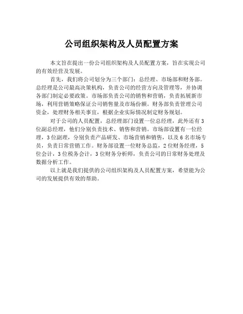 公司组织架构及人员配置方案