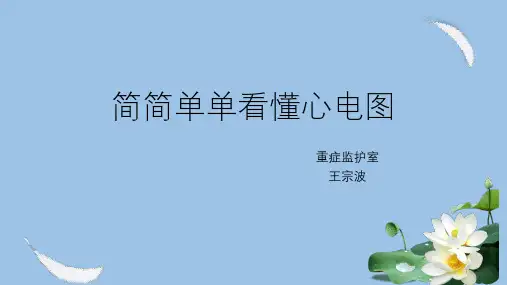 简简单单看懂心电图ppt课件
