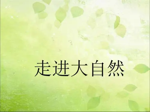 新版粤教粤科版小学科学精品课件【全册课件】全套14课【优质】课件