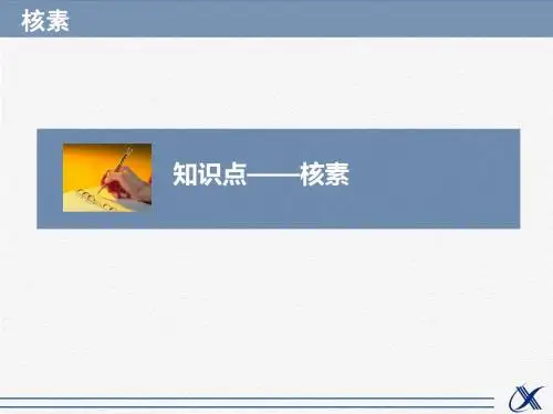 人教版高中化学必修2课件 核素