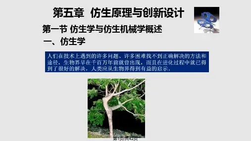仿生原理与创新设计PPT课件