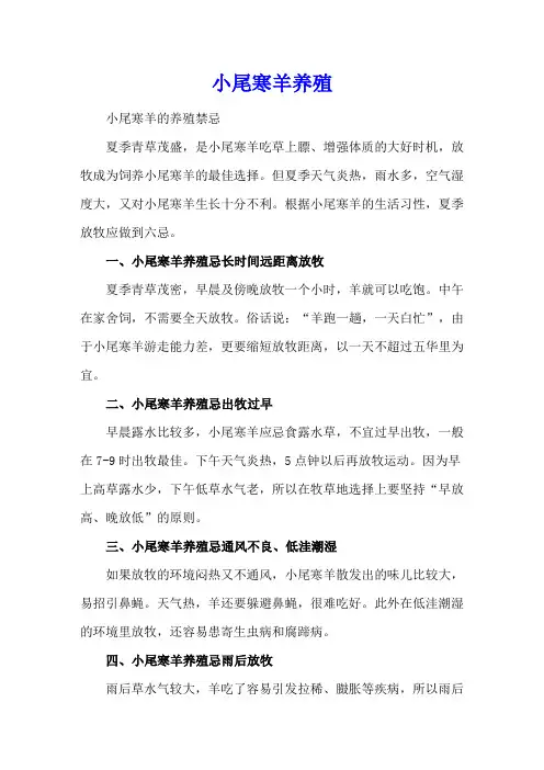 小尾寒羊养殖