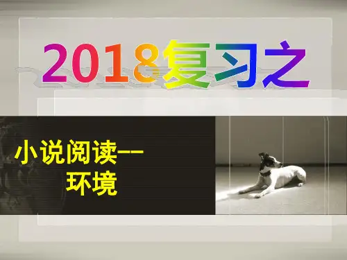 2018届高考语文-小说环境复习