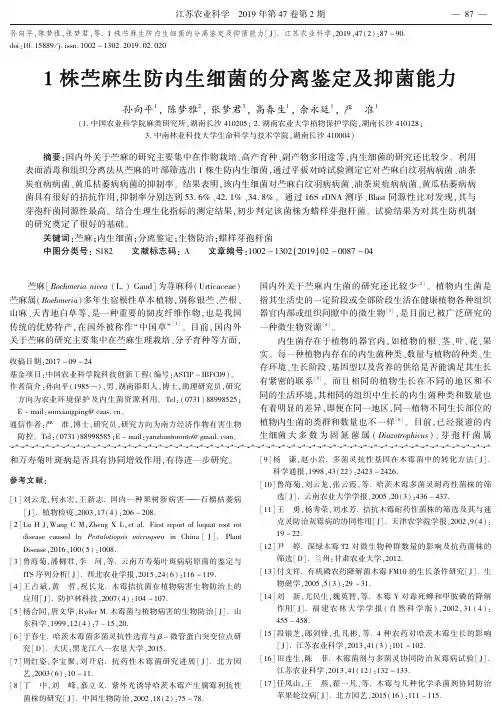 1株苎麻生防内生细菌的分离鉴定及抑菌能力