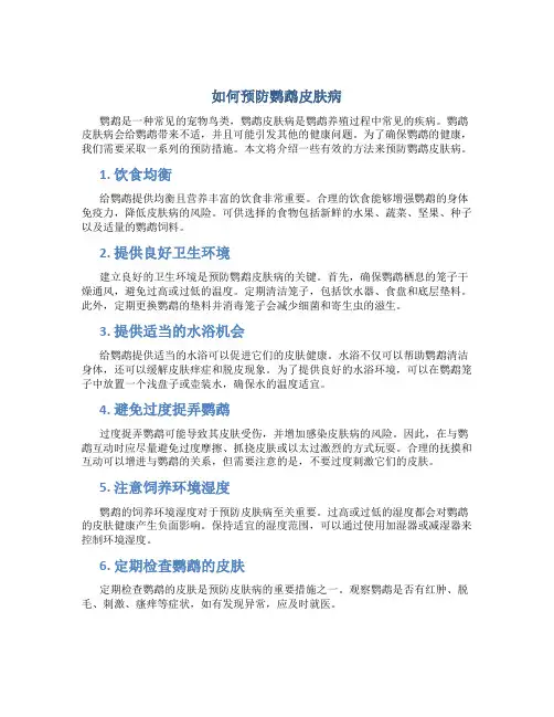如何预防鹦鹉皮肤病