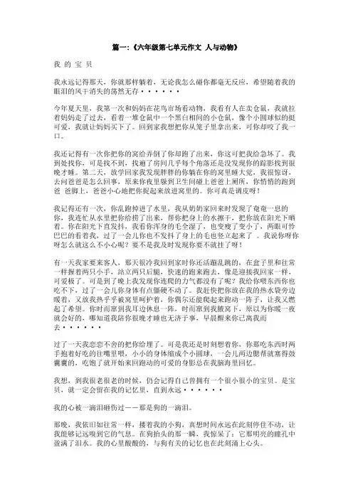 六年级写人与动物和谐相处的文章500字