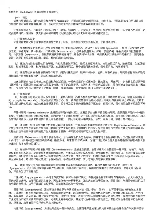 细胞死亡（坏死、凋亡）