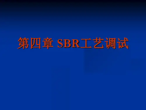 序批式活性污泥法原理与应用课件