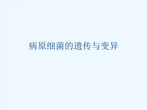 病原细菌的遗传与变异[可修改版ppt]