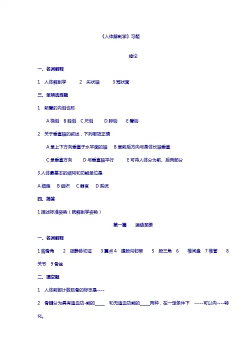 人体解剖学复习题
