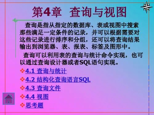 VF 第4章  查询与统计