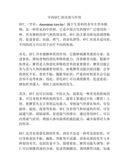 中药砂仁的功效与作用