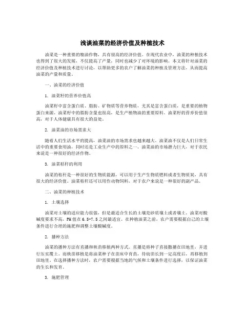浅谈油菜的经济价值及种植技术