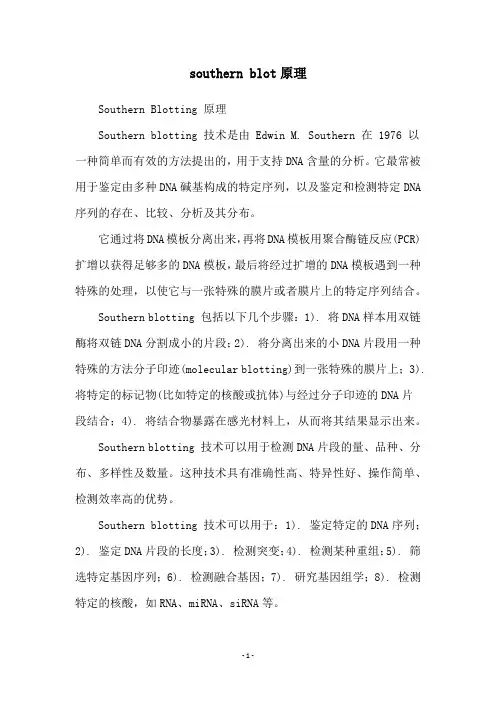 southern blot原理