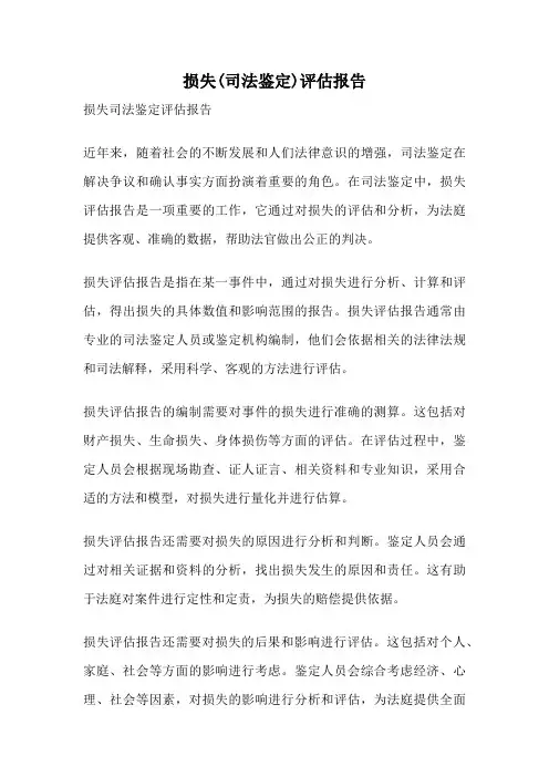 损失(司法鉴定)评估报告