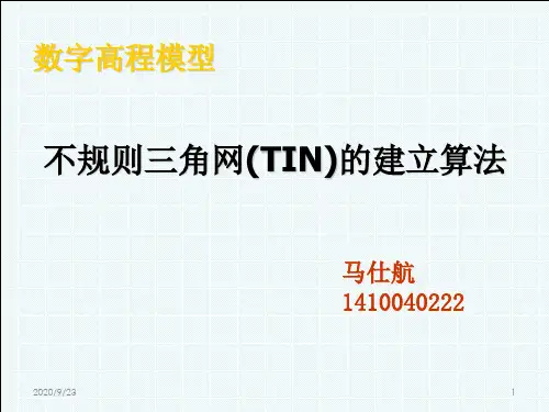 不规则三角网(TIN)的建立PPT文档资料