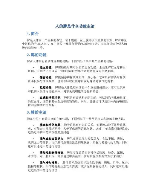 人的脾是什么功能主治