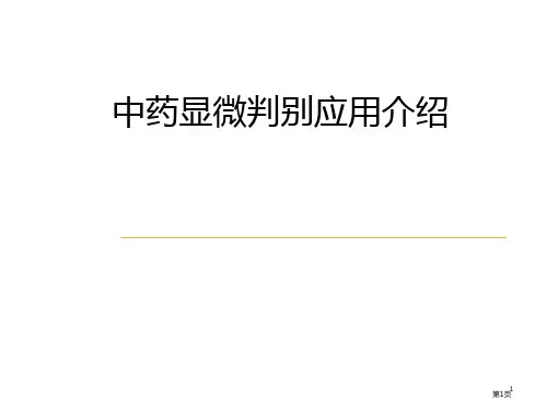 微鉴别_精品文档