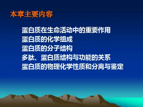 研究生入学考试动物生物化学蛋白质的结构与功能