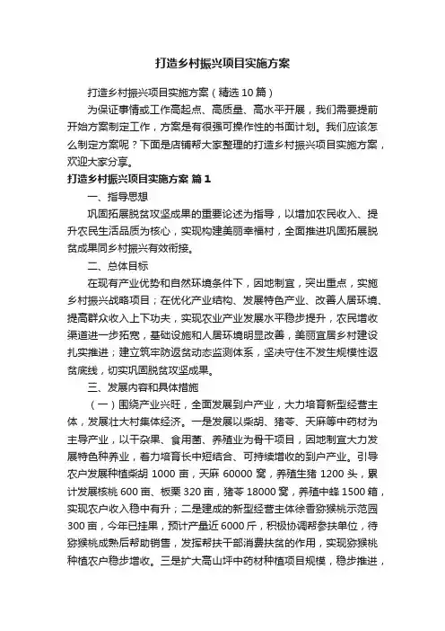 打造乡村振兴项目实施方案