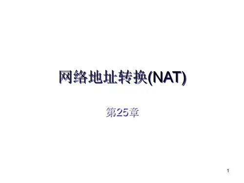 网络地址转换(NATPPT