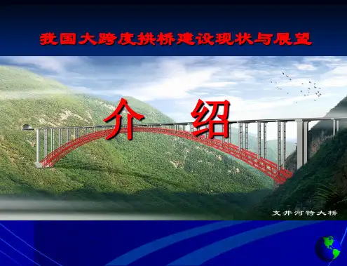 我国大跨度拱桥建设现状与展望