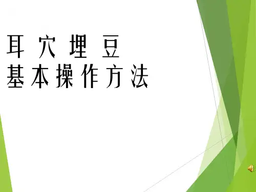 耳穴埋豆操作方法及应用
