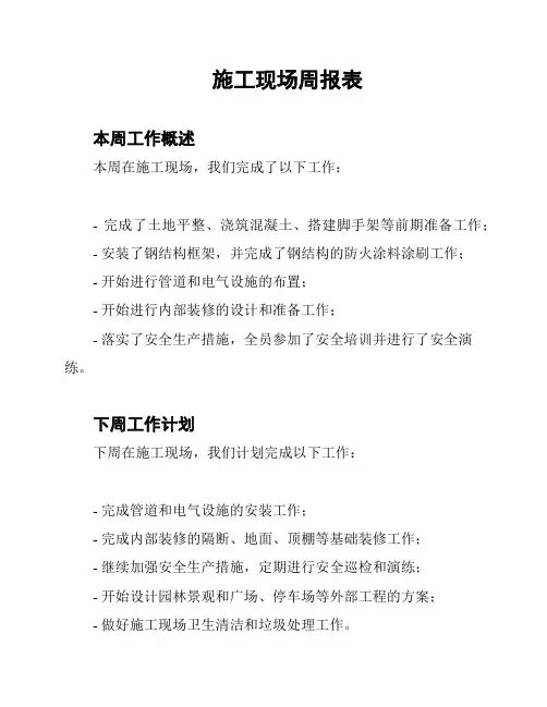 施工现场周报表