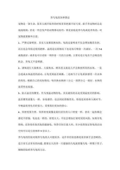 养乌龟的各种禁忌