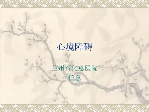心境障碍ppt课件