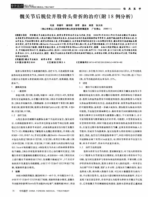 髋关节后脱位并股骨头骨折的治疗(附18例分析)