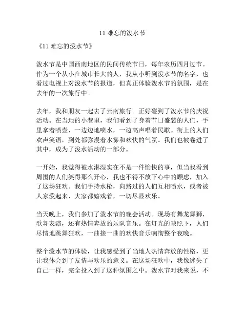 11 难忘的泼水节