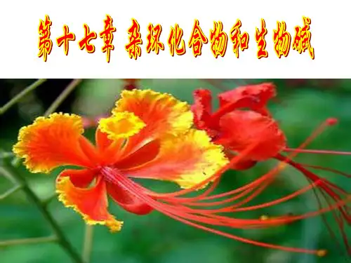 第二节 生物碱