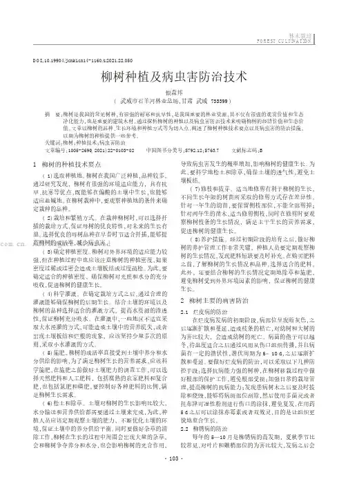 柳树种植及病虫害防治技术