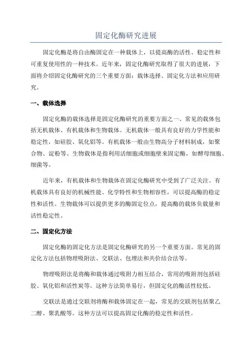 固定化酶研究进展
