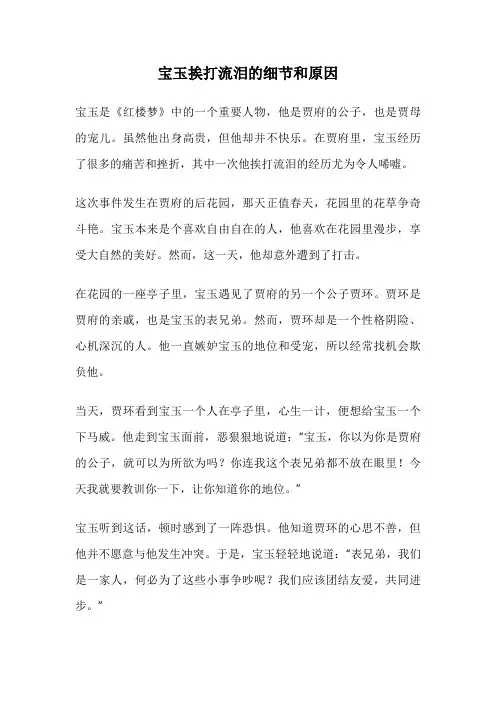 宝玉挨打流泪的细节和原因