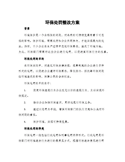 环保处罚整改方案