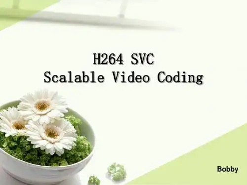 H264 SVC