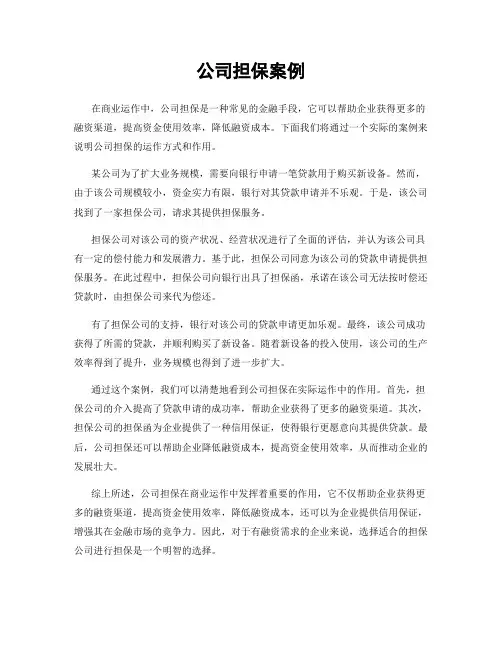 公司担保案例
