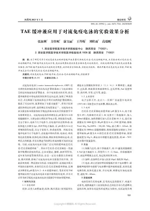 TAE缓冲液应用于对流免疫电泳的实验