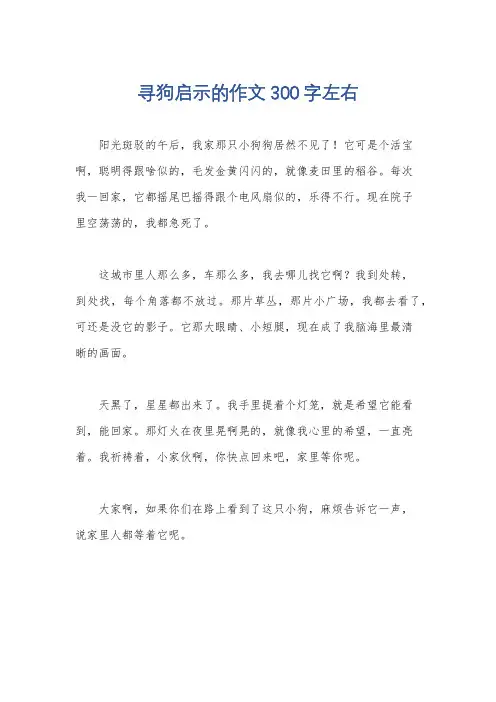 寻狗启示的作文300字左右