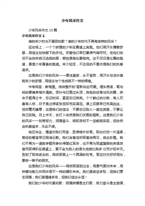 少年风采作文